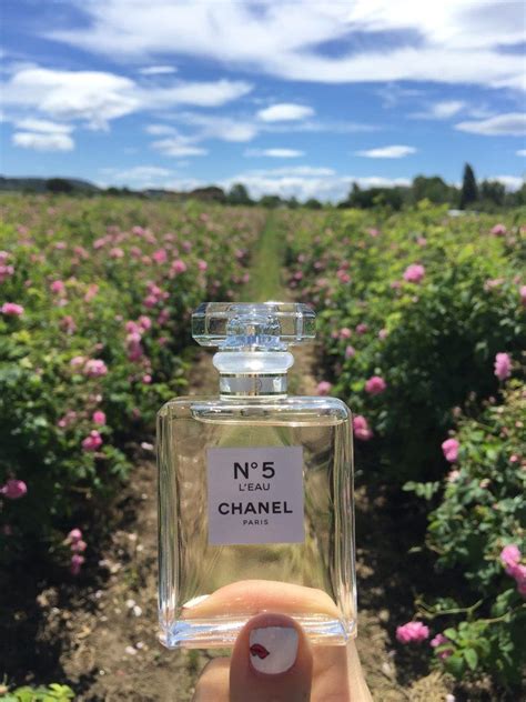 scents like chanel no 5|Chanel no 5 scent description.